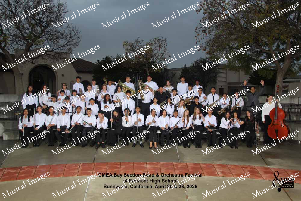 Musical Images